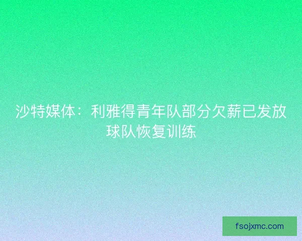 沙特媒体：利雅得青年队部分欠薪已发放球队恢复训练