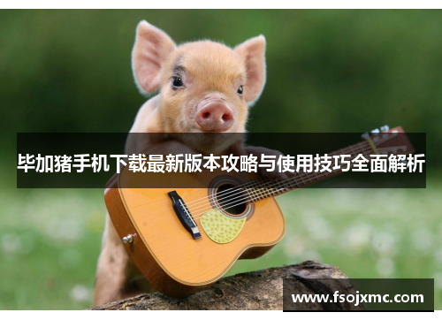 毕加猪手机下载最新版本攻略与使用技巧全面解析